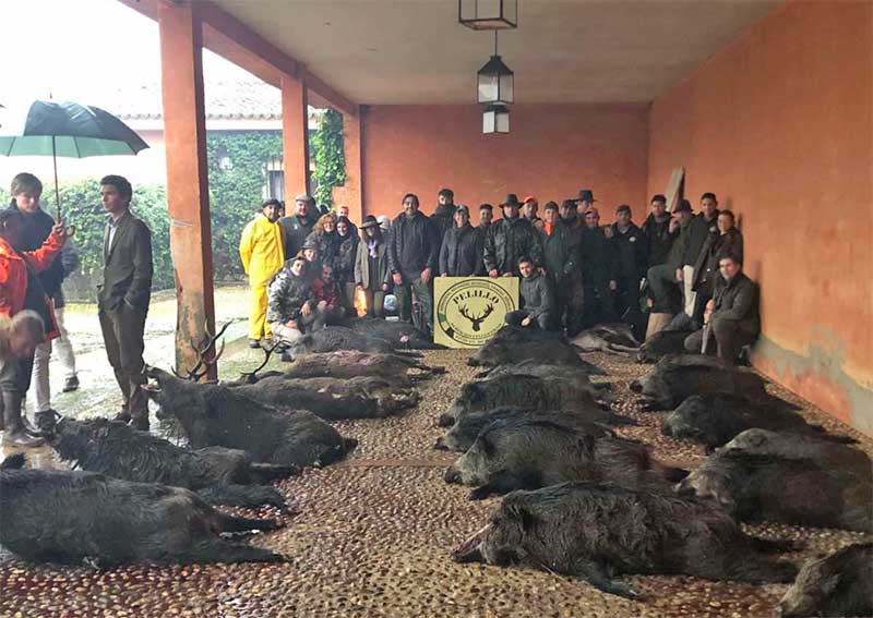 Resultado Montería Valmorisco 2023 Pelillo S C