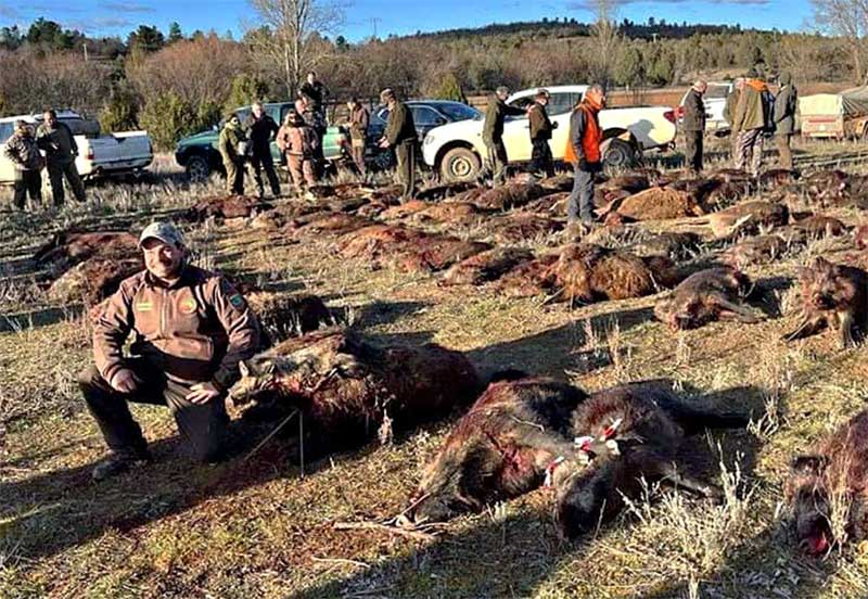 Resultado Montería Velasco 2023 Sociedad Cazadores San Saturio