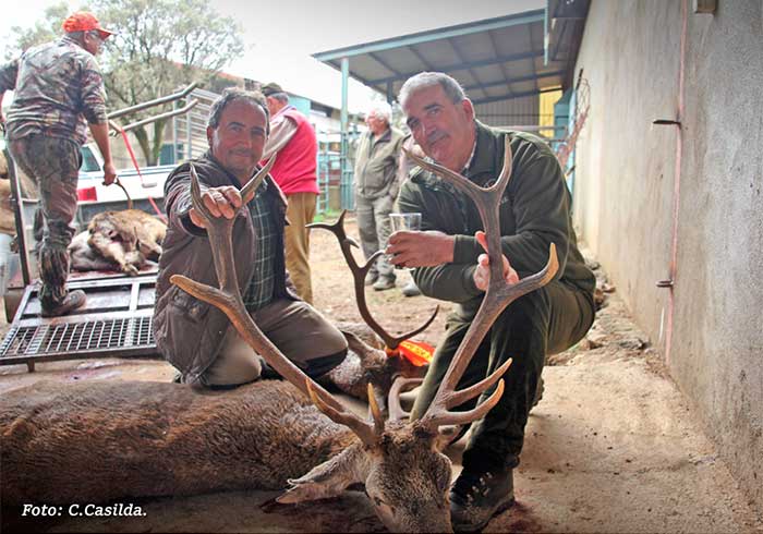 Chaqueta Caza Blaser