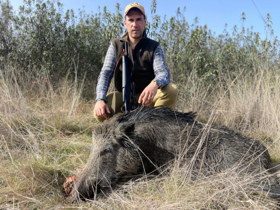 Coto San Pedro 2022 1