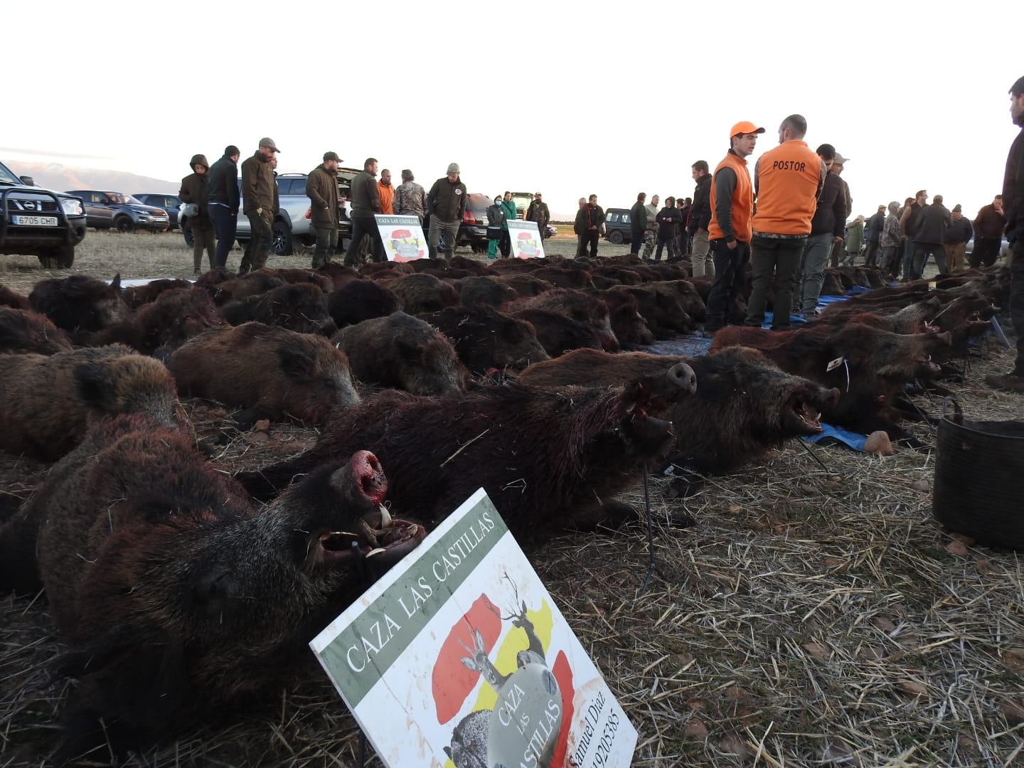 Resultado Montería El Carrascal 2022 Caza las Castillas 