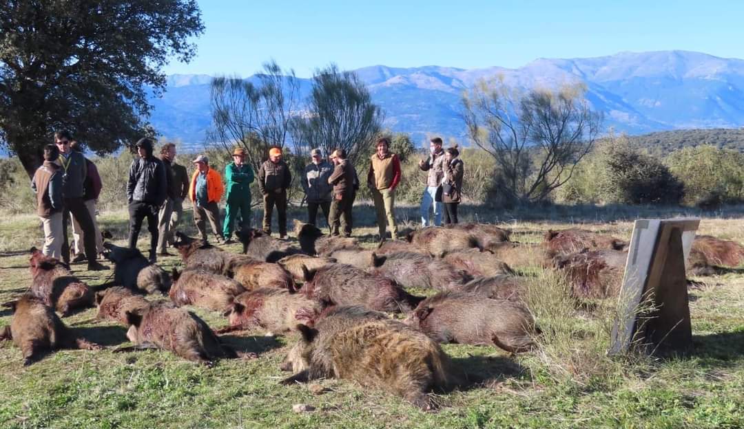 Resultado Montería El Cerro 2022 Pelillo SC
