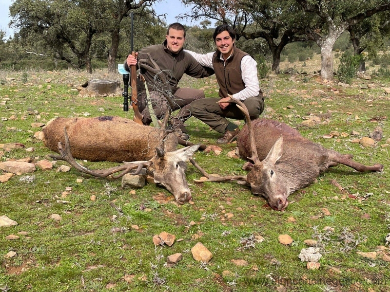 Resultado Montería El Monje 2022 Rincón Cinegético 