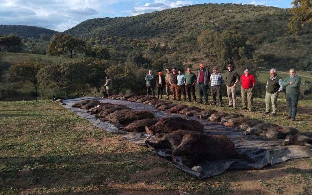 Resultado Montería El Palmitero 2022 Marcaza