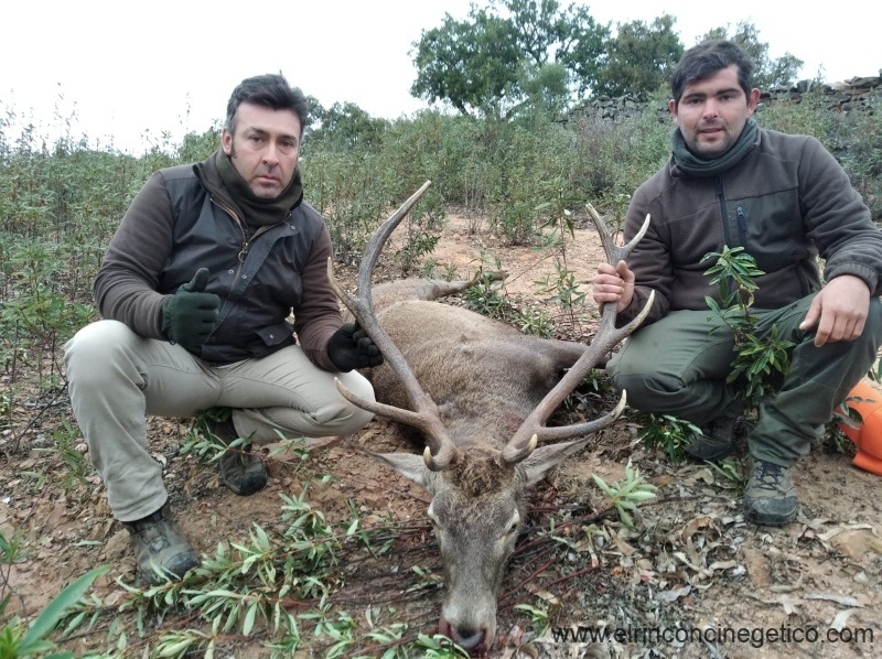Resultado Montería Horrigueros 2021 Rincón Cinegético