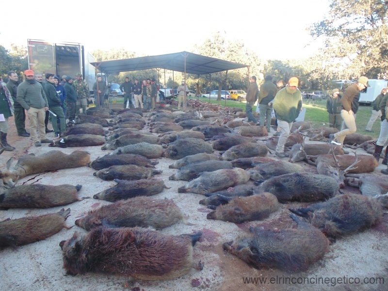 Linarejos Navafría 2021 01