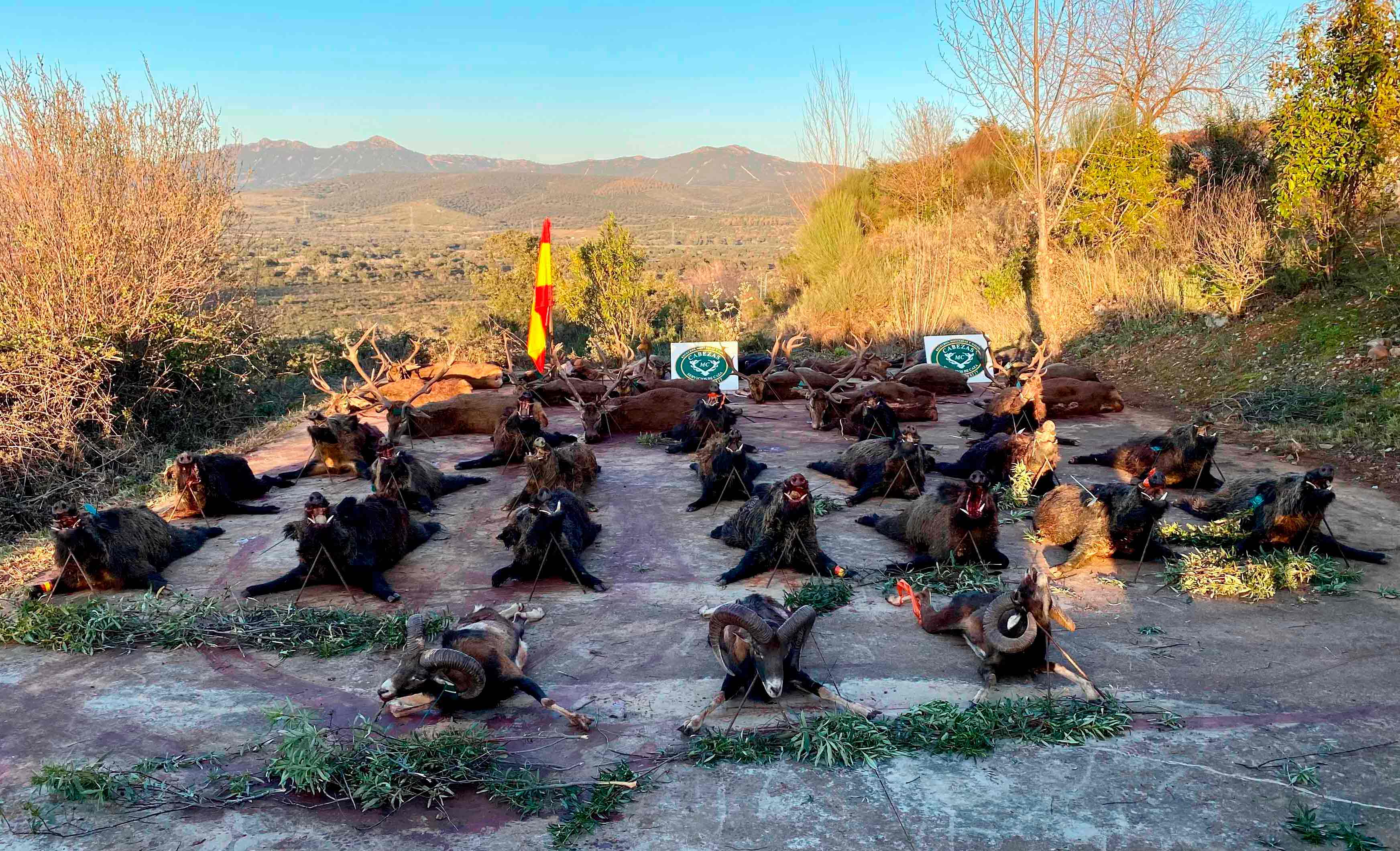 Resultado Montería Los Valles de Silvadillo 2022 Cabezas S Caza 