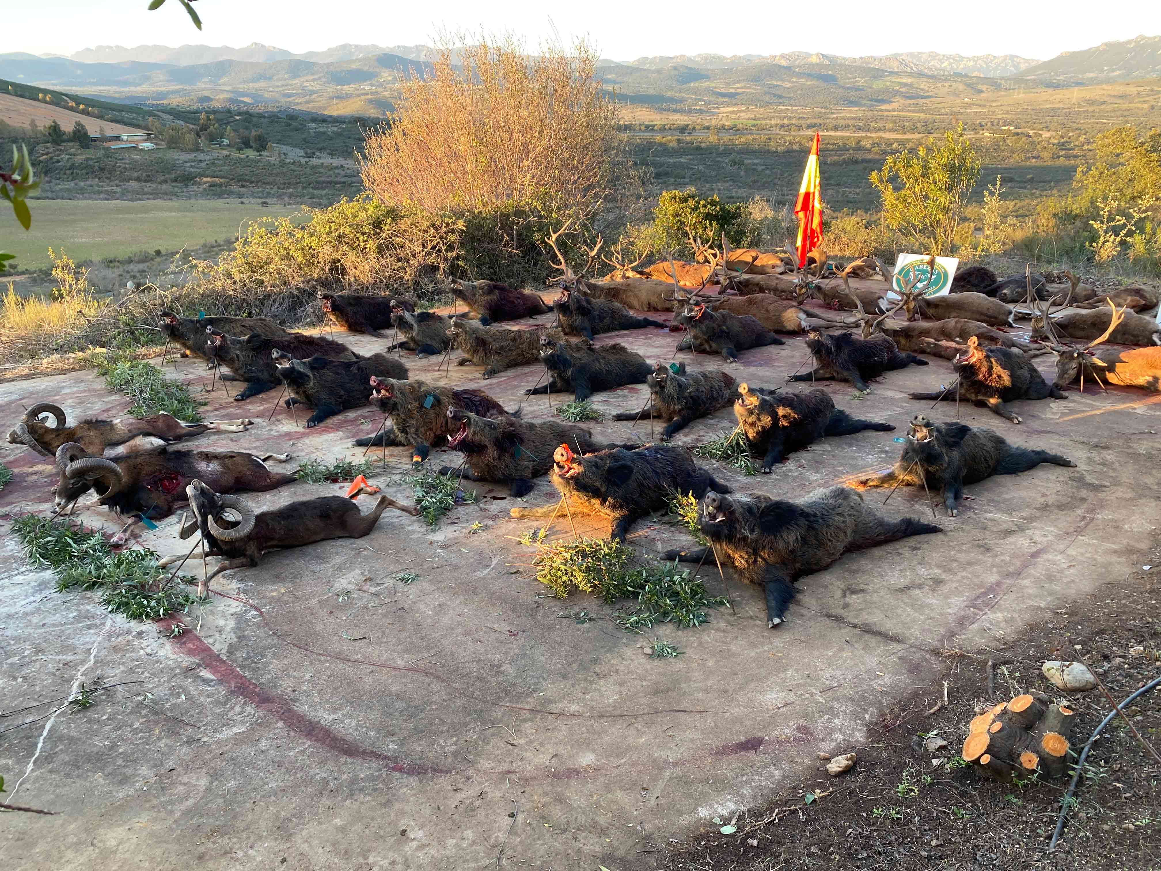 Los Valles de Silvadillo 2022 4