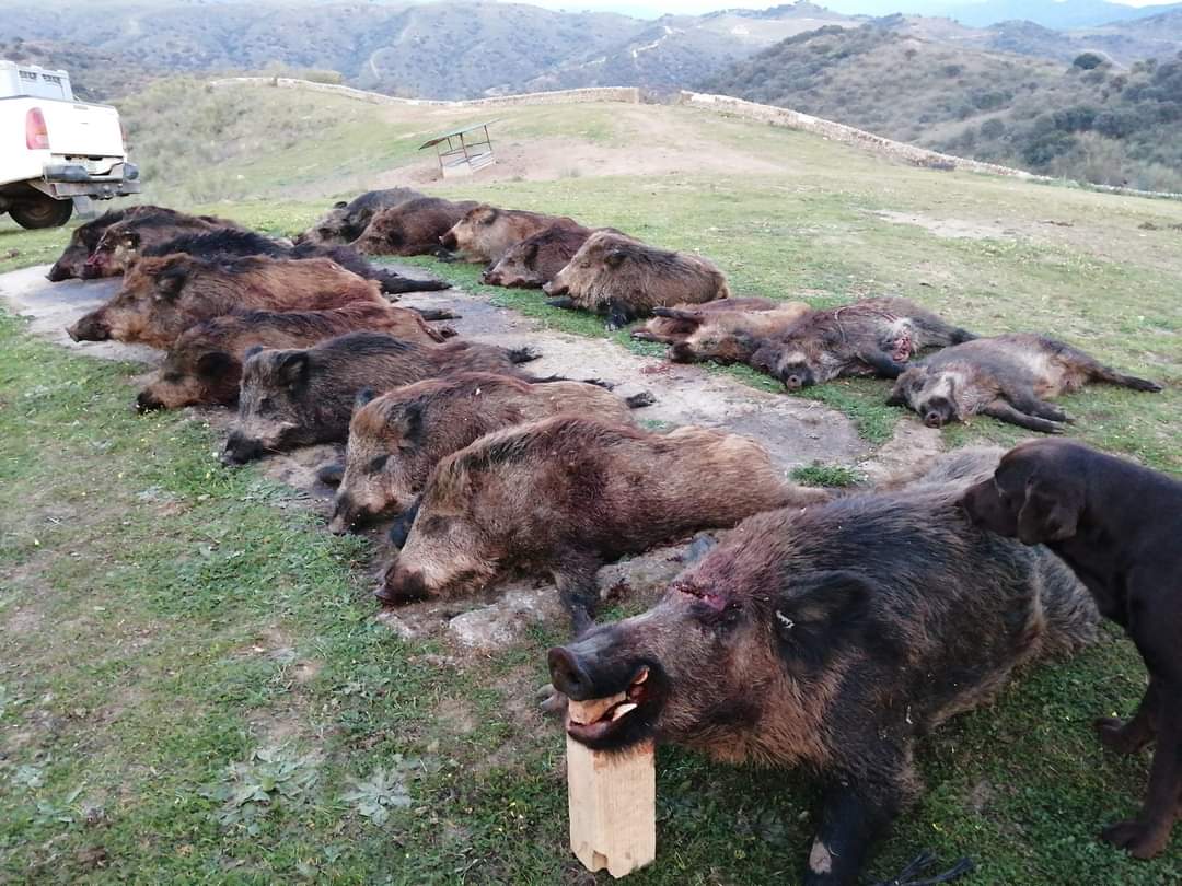 Mesa de San Fernando 2022 2