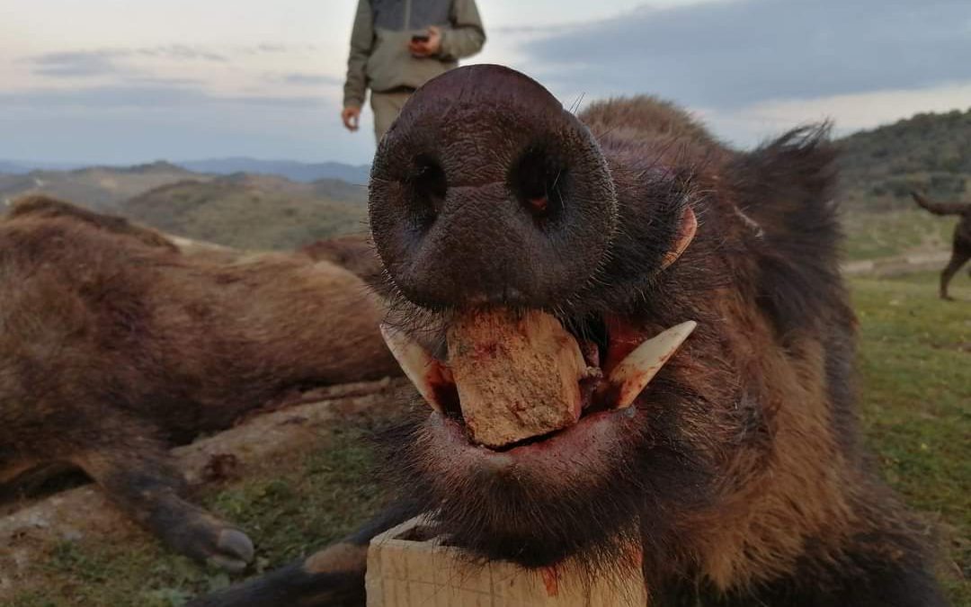 Mesa de San Fernando 2022 3