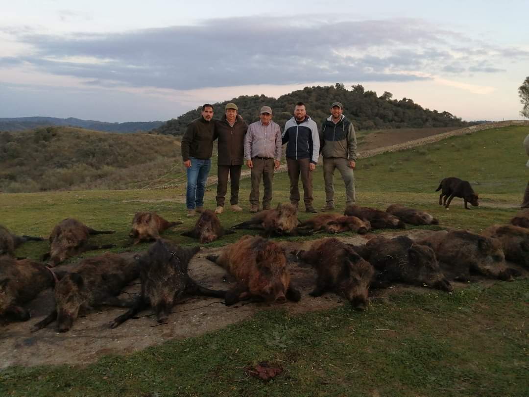 Mesa de San Fernando 2022 4