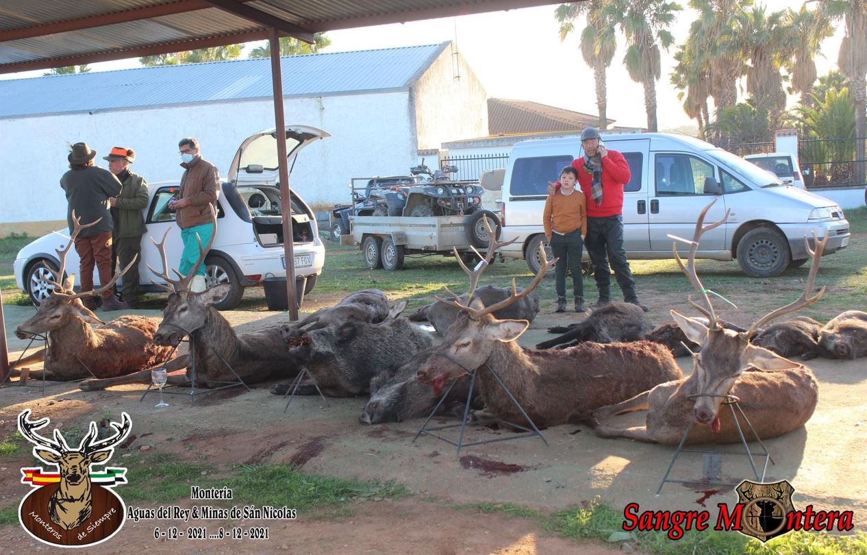 Minas de San Nicolas 2021 03