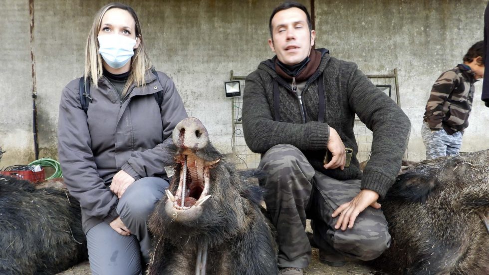 Resultado Montería Rancho Grande 2021 Cinegética Alcántara 