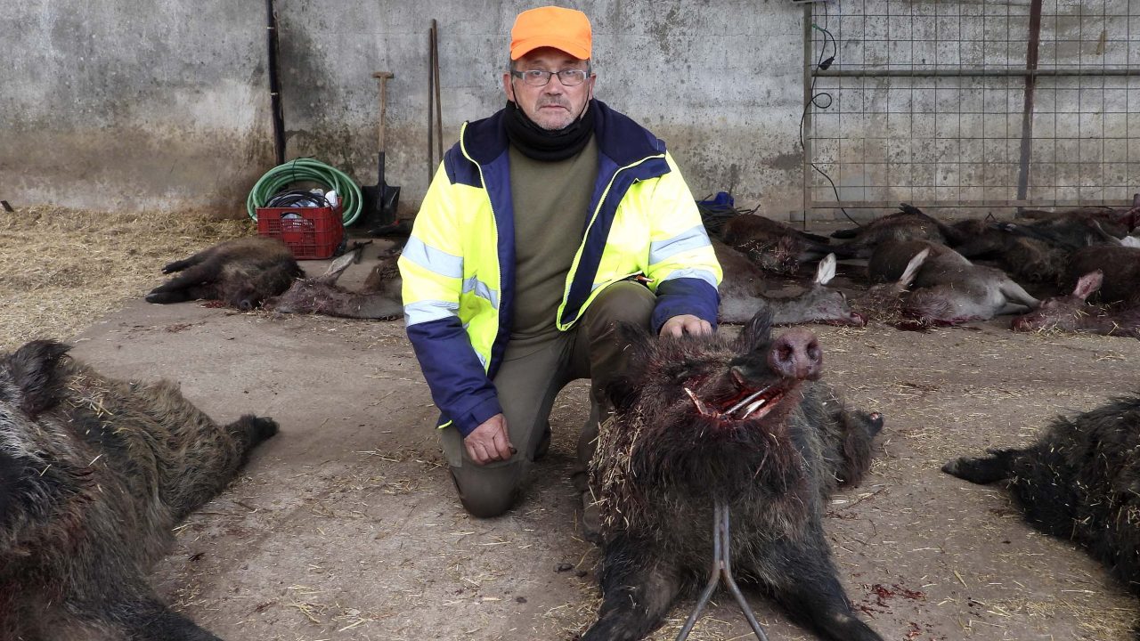 Rancho Grande y Hornillo 2021 4