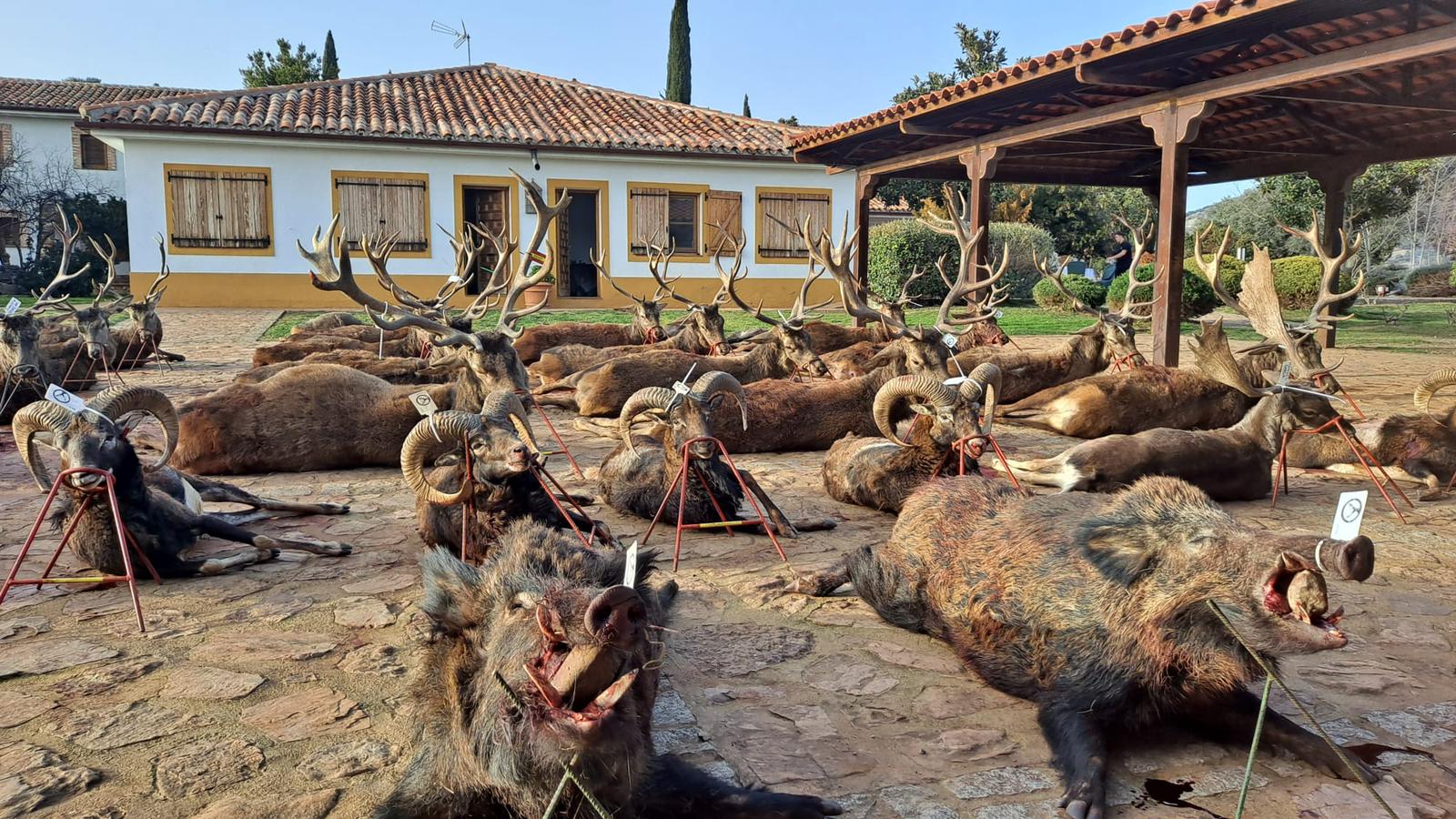 Resultado Montería La Ribera Alta 2 2022 Fernando Bautista A C