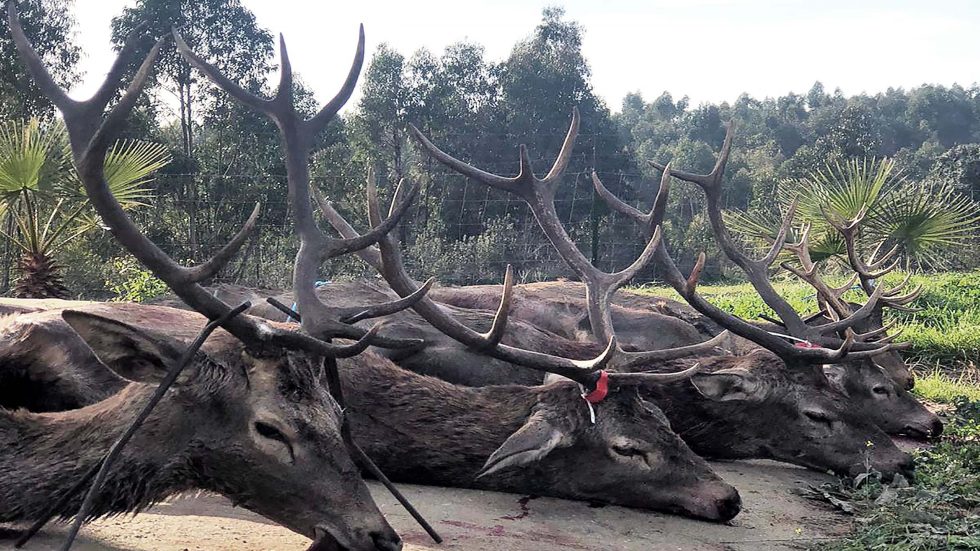 Sabanilla y Arenas 2021 3