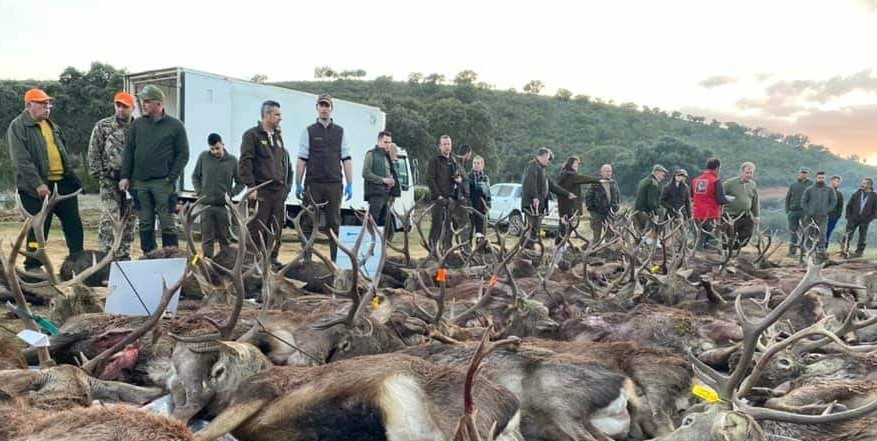 Umbrías Largas 2022 3