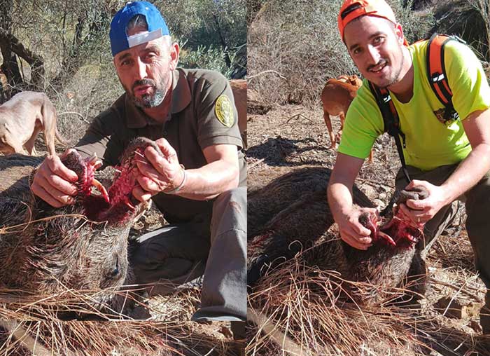 Chaqueta Caza Blaser