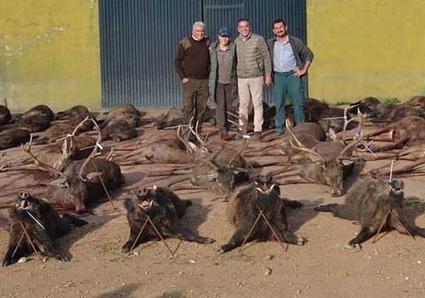 Chaqueta Caza Blaser