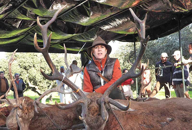 Chaqueta Caza Blaser