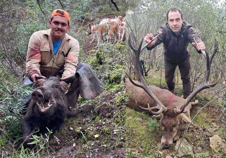 Chaqueta Caza Blaser