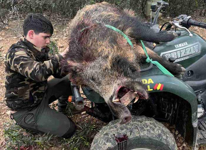 Chaqueta Caza Blaser