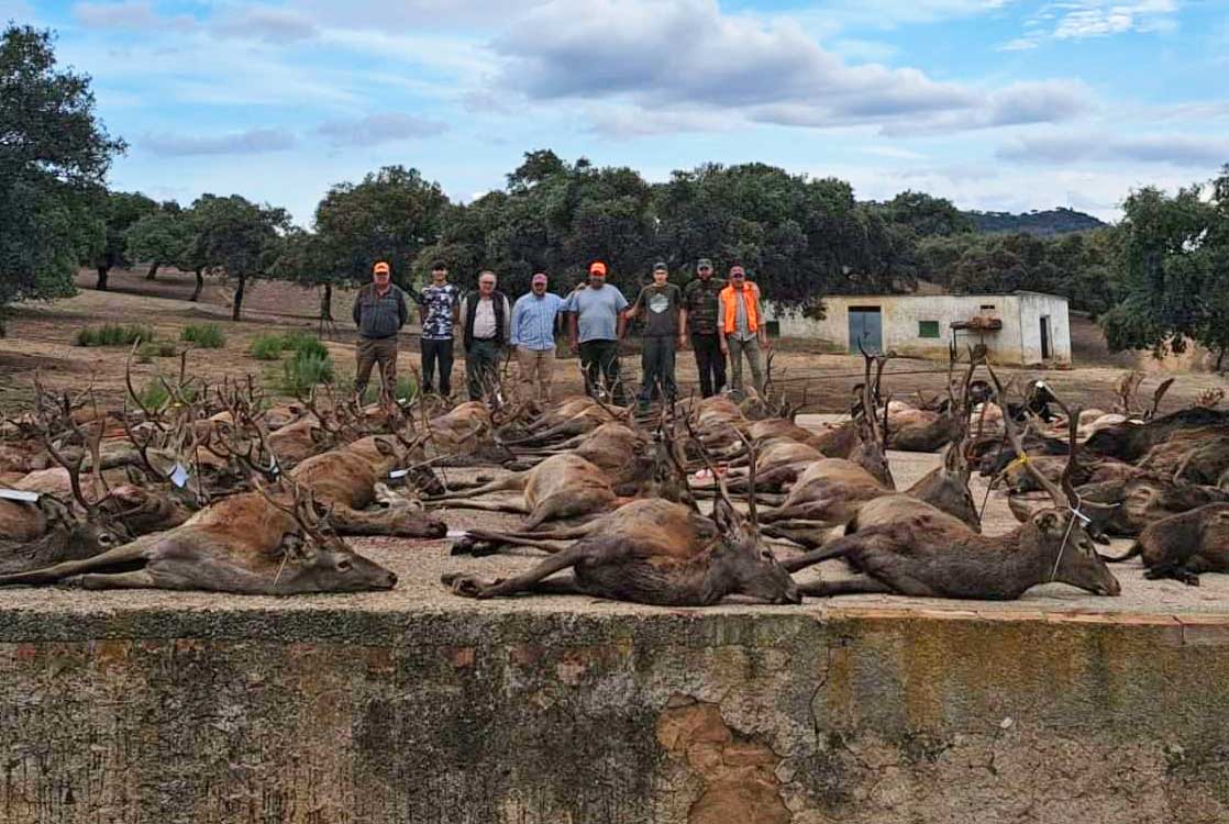 Resultado Montería Carboneras 2023 Cinegética Cordobesa