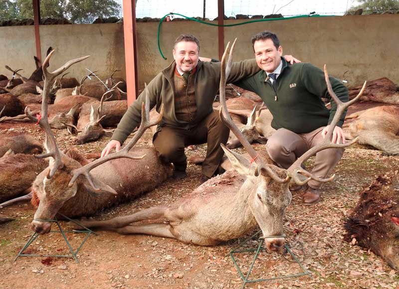 Chaqueta Caza Blaser