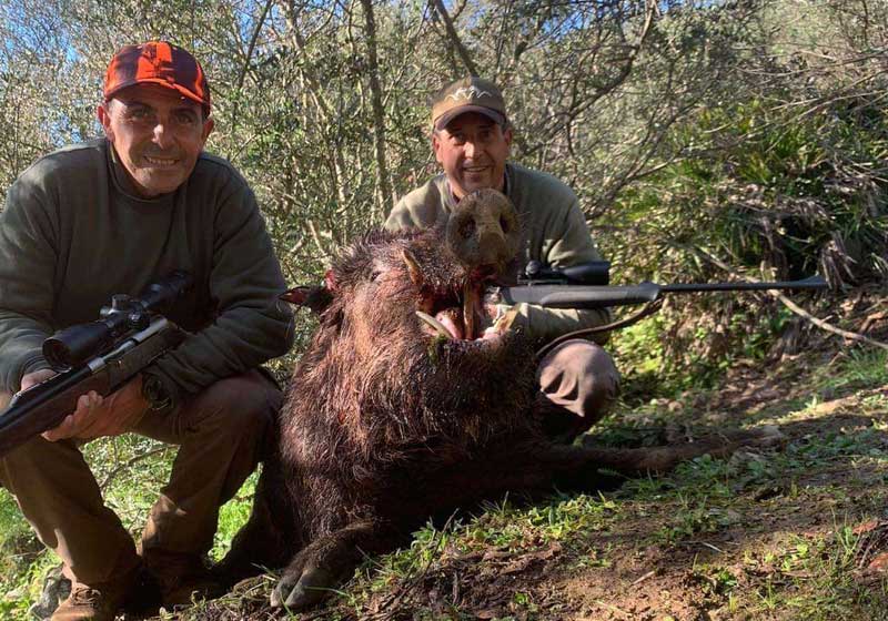 Chaqueta Caza Blaser