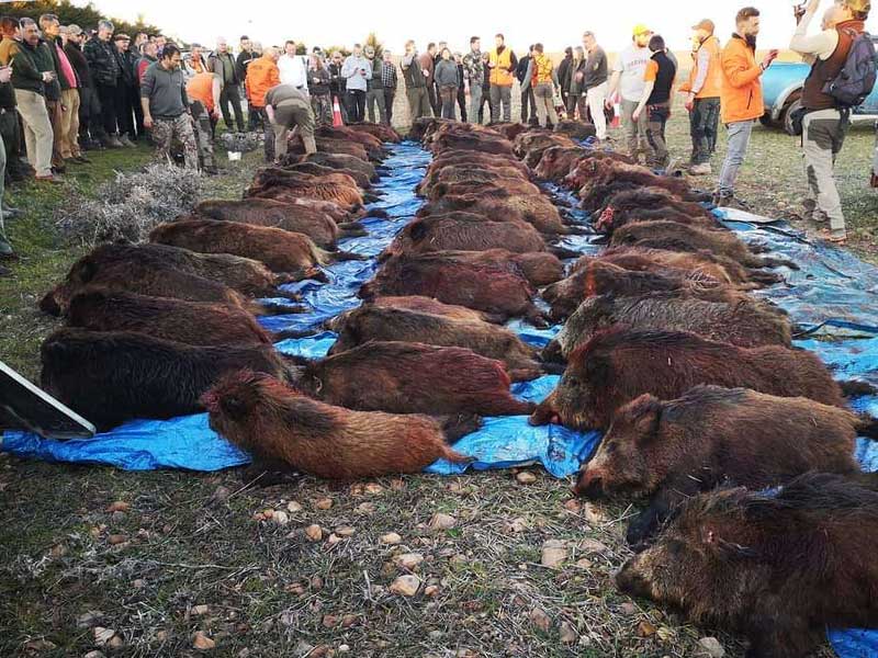 Chaqueta Caza Blaser