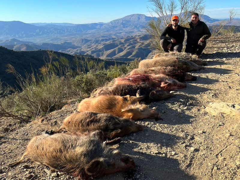 Chaqueta Caza Blaser