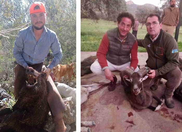 Chaqueta Caza Blaser