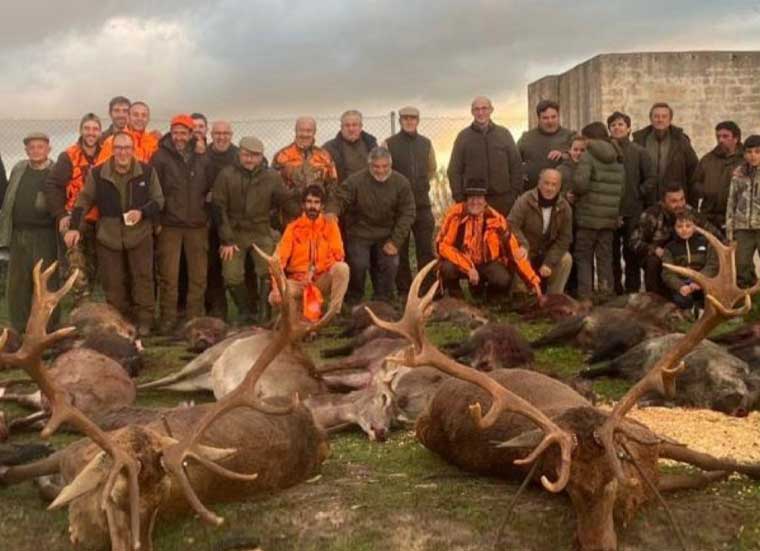 Chaqueta Caza Blaser