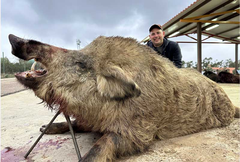 Chaqueta Caza Blaser