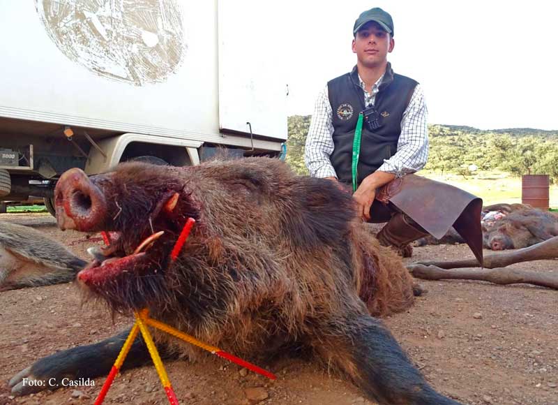 Chaqueta Caza Blaser