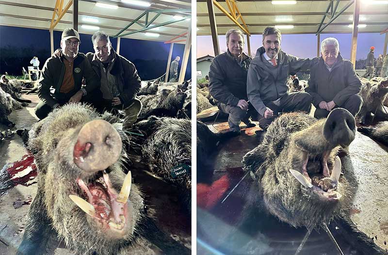 Chaqueta Caza Blaser