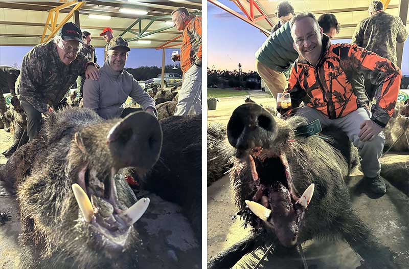 Chaqueta Caza Blaser