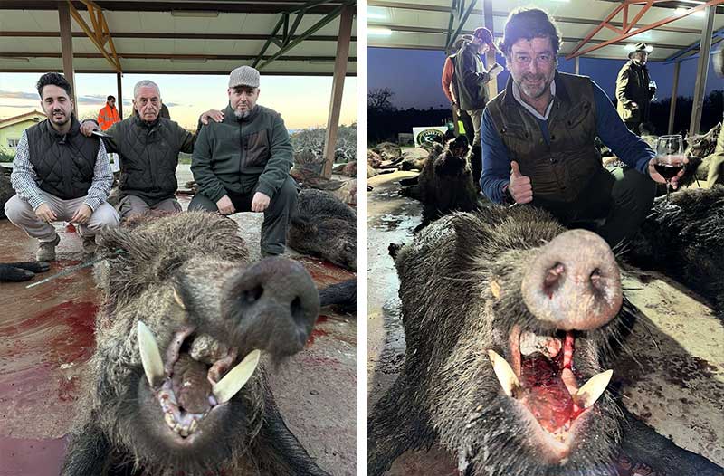 Chaqueta Caza Blaser