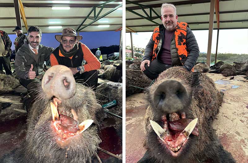 Chaqueta Caza Blaser