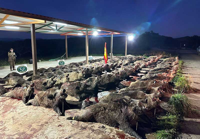 Chaqueta Caza Blaser