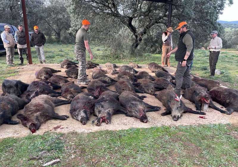 Resultado Montería El Grajo 2024 Monterías AG JG