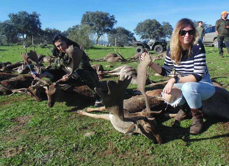 Resultado Montería El Guijo de la Carrascosa 2023 Rincón Cinegético