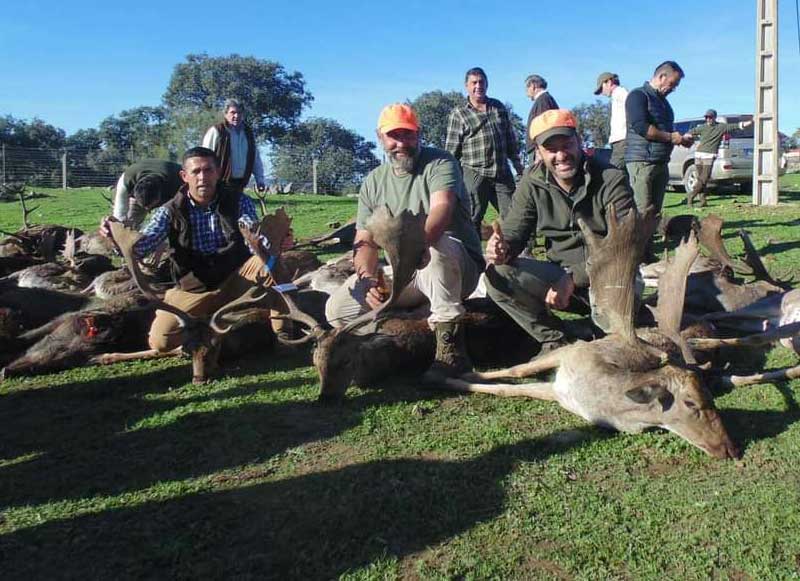 Chaqueta Caza Blaser