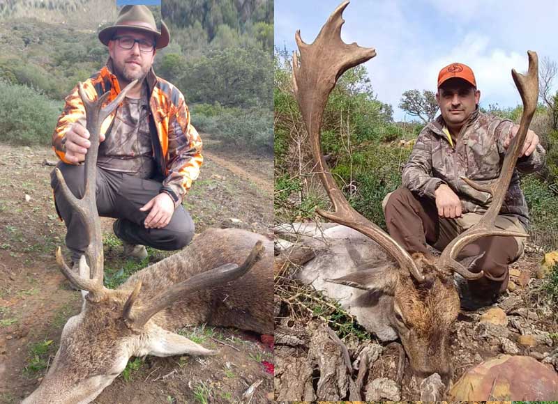 Chaqueta Caza Blaser