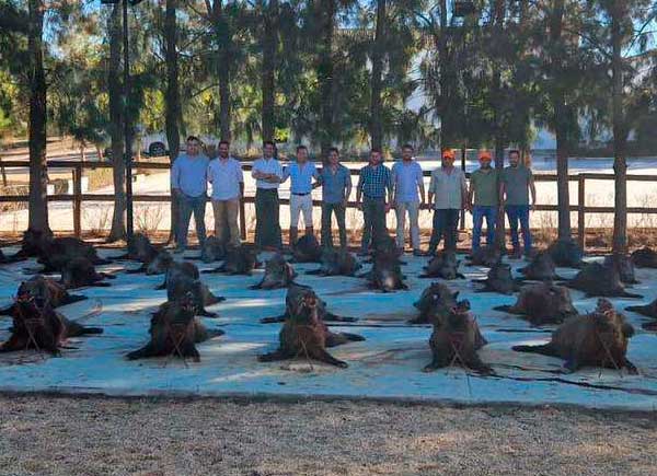 Chaqueta Caza Blaser