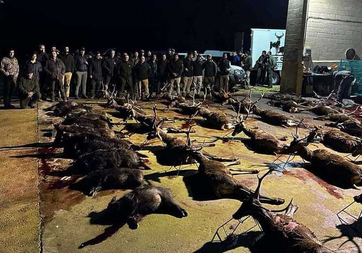 Chaqueta Caza Blaser