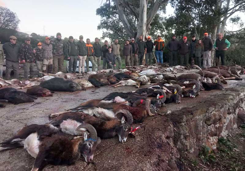 Chaqueta Caza Blaser