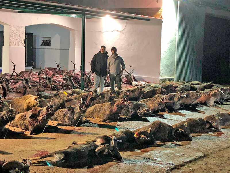 Chaqueta Caza Blaser