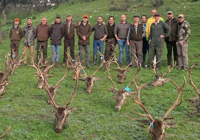 Chaqueta Caza Blaser