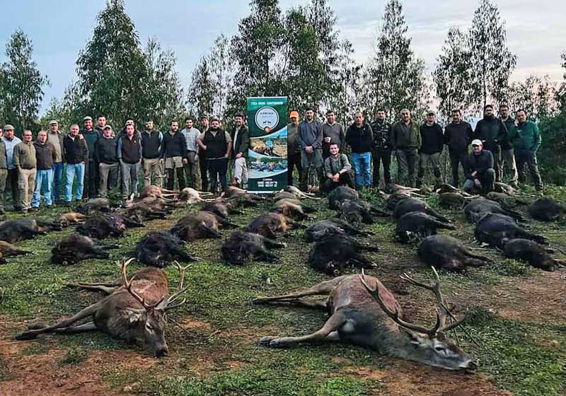 Chaqueta Caza Blaser